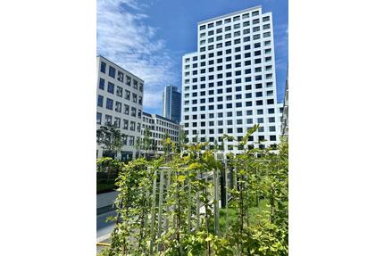 Voll möblierte 1 Zi Wohnung mit EBK in Mögeldorf (Nürnberg Ost)