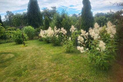 Kleingarten Schrebergarten Pachtgarten Mecklenburger Seenplatte M - Malchow