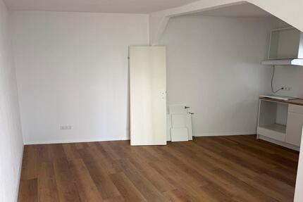 1-Zi-Apartment 15m² | EG | frisch renoviert | 70327 Stuttgart