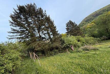 Garten Grundstück zu Verpachten 890qm - Annweiler am Trifels