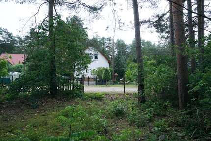 Grundstück zu verkaufen in Borkwalde 9.000,00 € 1612 m²