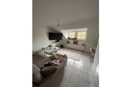 gemütliche Wohnung - 550,00&nbsp;EUR Kaltmiete, ca.&nbsp; 40,00&nbsp;m&sup2; in Trier (PLZ: 54294) Feyen-Weismark