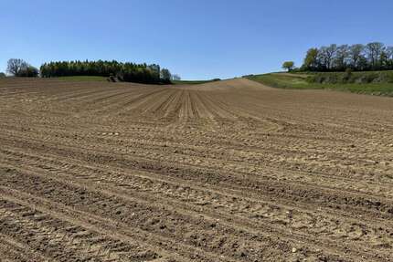 Grundstück in Mamming 427.155,00 € 28477 m²