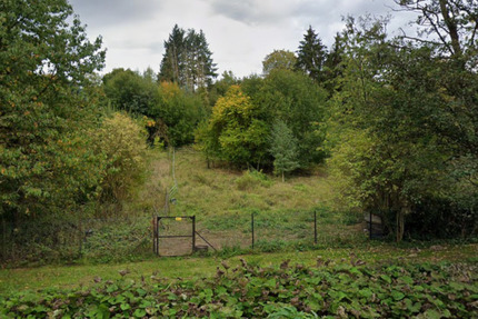 Günstiges Hanggrundstück am Bach, Ideal für Tiere oder Garten - Bodenwerder