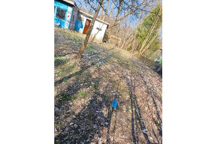 schrebergarten - 1.000,00&nbsp;EUR Kaltmiete, ca.&nbsp; 0,00&nbsp;m&sup2; in Flensburg (PLZ: 24939) Altstadt