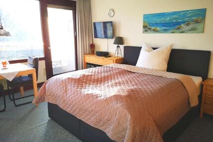 Vollmöbliertes 1-Zi-Apartment mit Balkon – sofort bezugsfertig - Bad Grund (Harz)