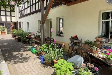 Haus zum Kaufen in Schmölln 480.000,00 € 750 m²