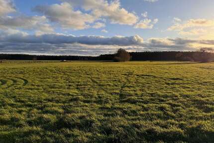 Grundstück zu verkaufen in Torgelow 82.000,00 € 748 m²