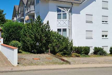 Wohnung zum Mieten in Hackenheim 695,00 € 77 m²