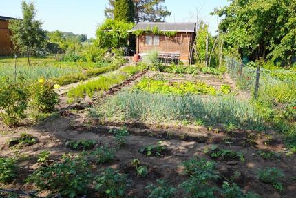 Gepflegter Schrebergarten in Sehnde-Bilm