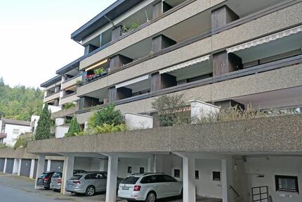 Helle 1-Zi-Whg mit großer Terrasse, neuen Fenstern & Stellplatz - Bad Liebenzell