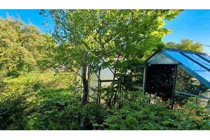 2FamHaus zum GrdstPreis 6-8 Zi +2 Kü +2 Bä +beheizt. WinterGarten - Glückstadt