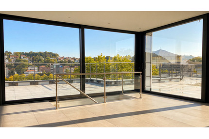 Wohnung zum Kaufen in Saarbrücken 1.299.000,00 € 284 m²