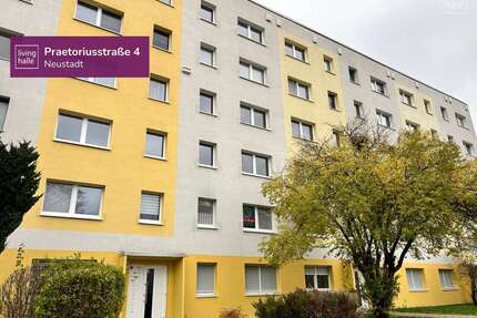 Wohnung zum Mieten in Halle 415,00 € 56.8 m²