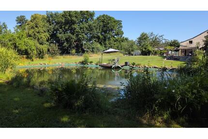 Hofanwesen mit großen Schwimmteich und Scheune - Neuental