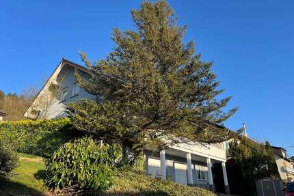 Haus zum Kaufen in Brachttal 449.000,00 € 220 m²