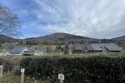 Wohnung zum Kaufen in Bad Herrenalb 125.000,00 € 60 m²