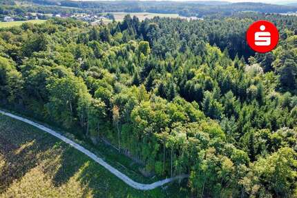 Grundstück in Altdorf 50.200,00 € 7813 m²