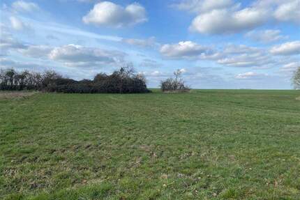 Bauen Sie Ihr Eigenheim* Kornhain bei Wurzen* Bauerwartungsland* Grüne Lage*