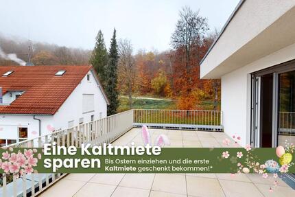 Wundervolle 2-Zimmer-Wohnung mit großem Balkon - Heidenheim an der Brenz