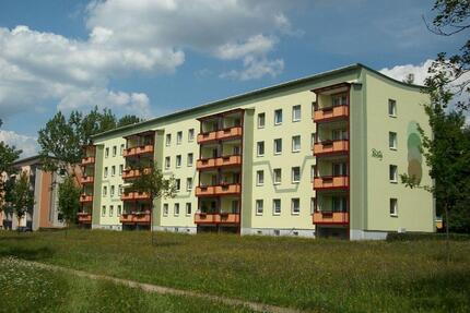 Frisch herausgeputzt & bereit für Sie – 4 Zimmer, die begeistern! - Sangerhausen