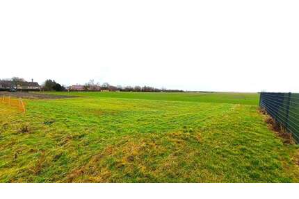 Grundstück zu verkaufen in Teutschenthal 24.900,00 € 1378 m²