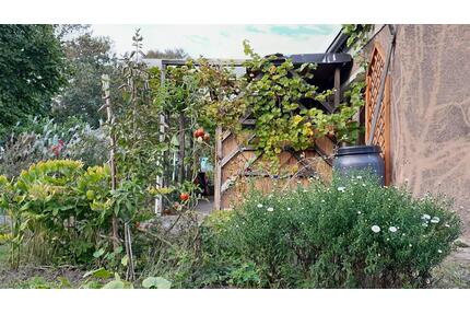 Kleingarten direkt an Spree, 485m², massive Laube - Cottbus Brunschwig