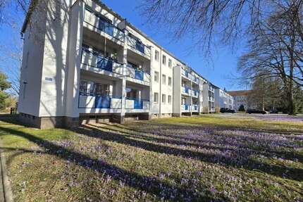 Wohnung zum Mieten in Chemnitz 280,00 € 45 m²