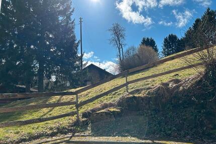 Altersgerechte 2 Zimmer- Wohnung - Fluorn-Winzeln