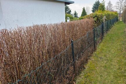 Garten zur Pacht - 1.000,00&nbsp;EUR Kaltmiete, ca.&nbsp; 0,00&nbsp;m&sup2; in Bischofswerda (PLZ: 01877)