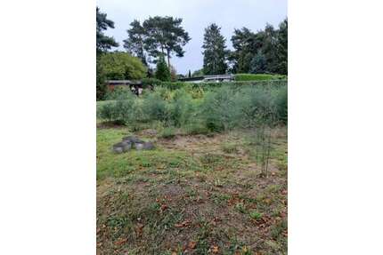 Grundstück zu verkaufen in Ludwigsfelde 199.900,00 € 499 m²