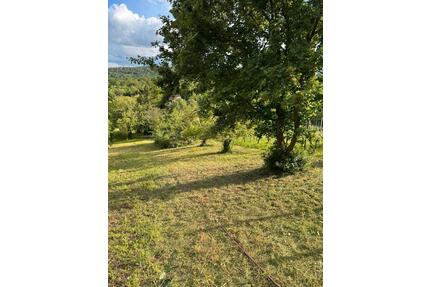 Garten in Stuttgart Feuerbach am Horn