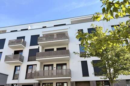 Wohnung zum Mieten in Düsseldorf-Oberkassel 2.837,00 € 113.5 m²