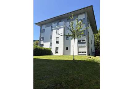 Wohnung zum Mieten in Zwickau 352,00 € 44 m²