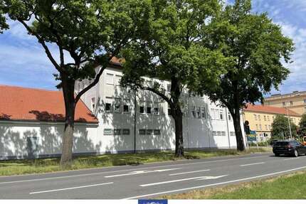 Wohnung zum Mieten in Senftenberg 360,00 € 51.92 m²