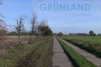 *Landwirtschaftliche Grünland-Flächen zu verkaufen!* - Brunne