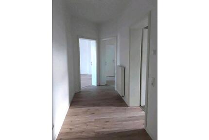 2 Raumwohnung, großzügig und hell - Halle (Saale) Büschdorf