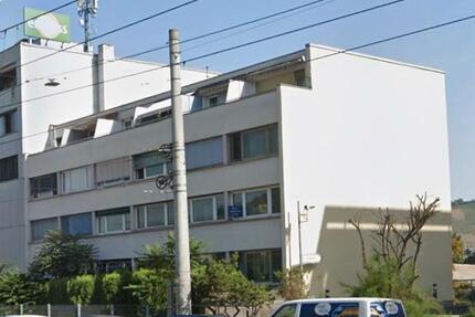 Gemütliche Einzimmerwohnung mit Terrasse - Stuttgart Luginsland