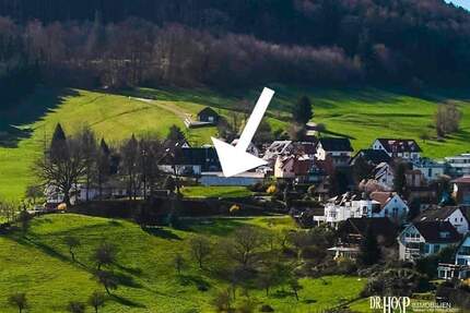 Letztes Traumgrundstück für freistehendes EFH - 523qm Grundstück + 4 kostenlose Planungen für EFH von Holzhaus KfW40 vorhanden + nur 6 Mo. Bauzeit. - Wittnau