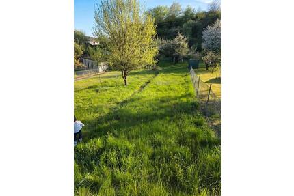 ​444 m² Garten in Herborn-Seelbach mit Bachlauf - Bad Endbach