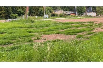 Baugrundstück in Flöha - 64.240,00&nbsp;EUR Kaufpreis, ca.&nbsp; 0,00&nbsp;m&sup2; in Flöha (PLZ: 09557) Falkenau