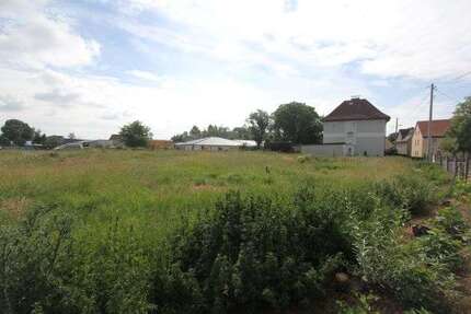 Grundstück zu verkaufen in Teutschenthal 82.175,00 € 865 m²