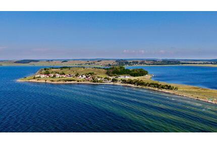 Ferienwohnung | Rügen | mit Hund | Frühjahrs-Schnäppchen - Sellin