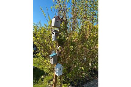 Schrebergarten Kleingarten - 1.000,00&nbsp;EUR Kaltmiete, ca.&nbsp; 0,00&nbsp;m&sup2; in Metelen (PLZ: 48629)