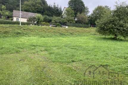 Grundstück zu verkaufen in Weigendorf 114.615,00 € 849 m²