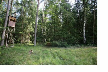Waldflächen in Veldershof - 8,00&nbsp;EUR Kaltmiete, ca.&nbsp; 0,00&nbsp;m&sup2; in Lauf an der Pegnitz (PLZ: 91207)