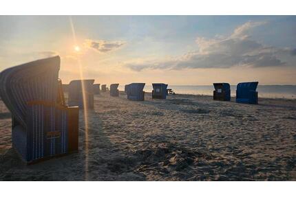 1. Mai ✅️ Last Minute Nordsee☀️ Urlaub am Meer Ferienhaus FeWo - Dornum