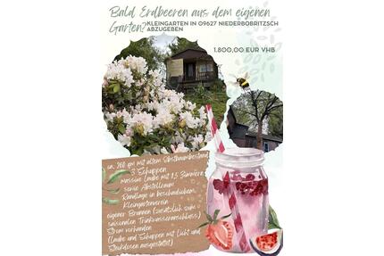 Kleingarten in Niederbobritzsch - Bobritzsch-Hilbersdorf