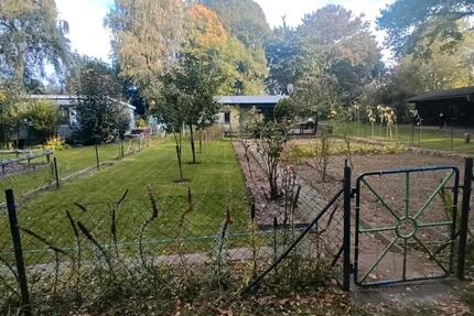 Kleingarten mit Steinlaube und Carport - Strom und Trinkwasser - Stralsund Langendorfer Berg