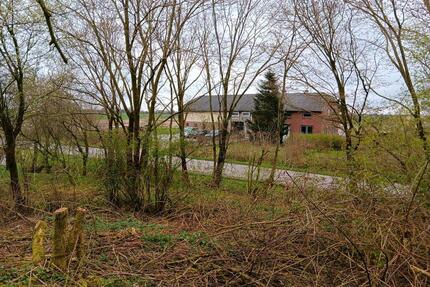 Resthof HausGrundstück zu verkaufen - Klanxbüll